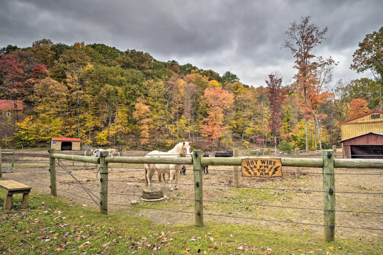 Rustic Clint Eastwood Ranch Apt By Raystown Lake Хънтингдън Екстериор снимка